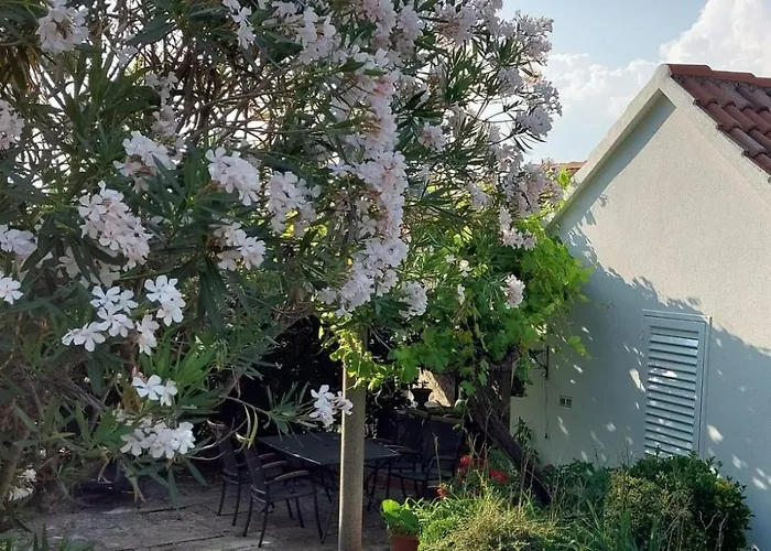 Дом отдыха Sunrise *