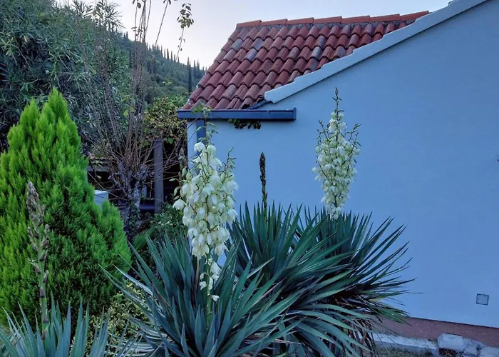 Sunrise Дом отдыха