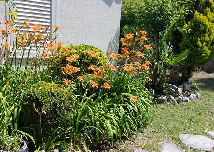 Sunrise * Груда